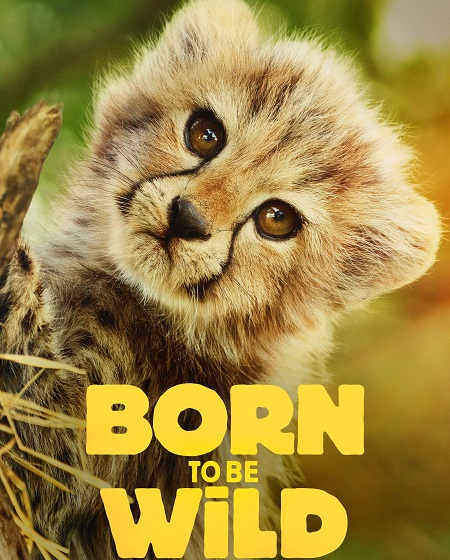 مسلسل Born to be Wild الموسم الاول الحلقة 1 مترجمة